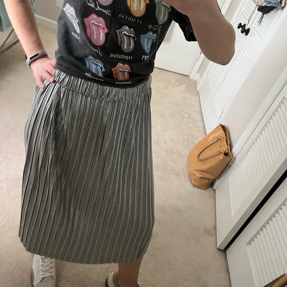 Shimmer skirt NWT